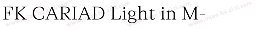 FK CARIAD Light in M字体转换